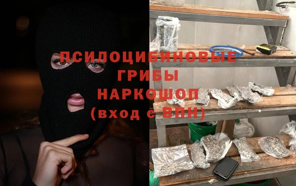 дмт Нягань
